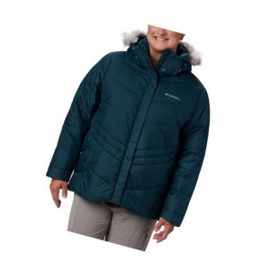 Dámské Bundy Columbia Peak to Park Insulated Plus Size Blankyt | RJCB-10293