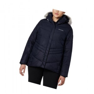 Dámské Bundy Columbia Peak to Park Insulated Plus Size Tmavě Blankyt | MQFP-38610