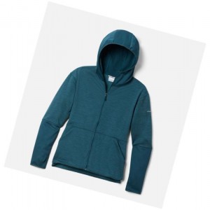 Dámské Bundy Columbia Rosemont Station II Hooded Full Zip Fleece Blankyt | VCIK-12493