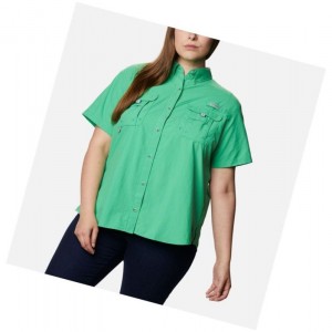 Dámské Košile Columbia PFG Bahama Short Sleeve Plus Size Tyrkysové | ZOYE-67345