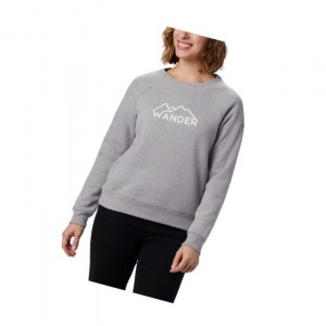 Dámské Mikina Columbia Hart Mountain Long Sleeve Graphic Crew Šedé | LCDK-54601