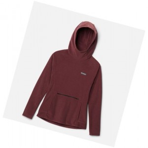 Dámské Mikina s Kapucí Columbia Ali Peak Hooded Fleece Vínové | ZDFC-75391