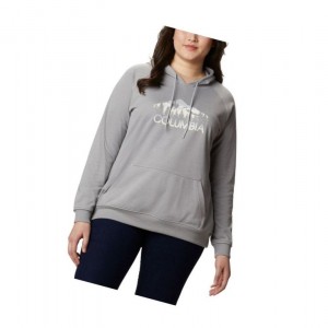 Dámské Mikina s Kapucí Columbia Logo French Terry Plus Size Šedé | YUSJ-30897