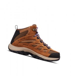 Dámské Pohorky Columbia Crestwood Mid Waterproof Fialové | DSIM-59702