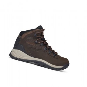 Dámské Pohorky Columbia Newton Ridge Plus Waterproof Wide Tmavě Hnědé | LXIS-27318