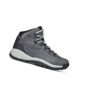 Dámské Pohorky Columbia Newton Ridge Plus Waterproof Wide Šedé | AIRD-75369