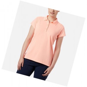 Dámské Polo Triko Columbia PFG Innisfree Short Sleeve Růžové | LKOT-28764