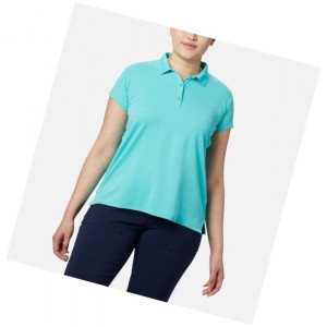 Dámské Polo Triko Columbia PFG Innisfree Short Sleeve Plus Size Blankyt | HFRG-18479