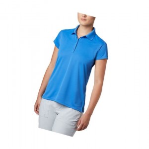 Dámské Polo Triko Columbia PFG Innisfree Short Sleeve Blankyt | FDGT-28031