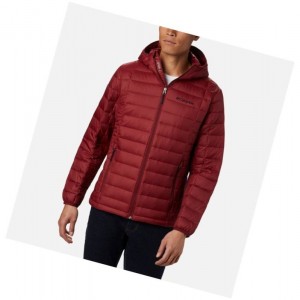 Pánské Bundy Columbia Voodoo Falls 590 TurboDown Hooded Puffer Červené | GMAE-63709