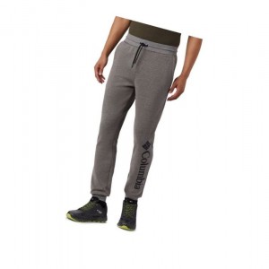 Pánské Kalhoty Columbia Lodge Double Knit Jogger Šedé | NHAP-95216