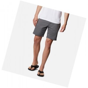 Pánské Kraťasy Columbia Shale Trail Short Tmavě Šedé | LYDW-64391