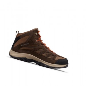 Pánské Pohorky Columbia Crestwood Mid Waterproof Wide Tmavě Hnědé | EBMI-68140