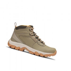 Pánské Pohorky Columbia Newton Ridge Plus II Waterproof Olivy Zelené | KWUM-97483