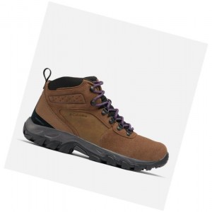 Pánské Pohorky Columbia Newton Ridge Plus II Suede Waterproof Tmavě Hnědé Fialové | JWYC-31740