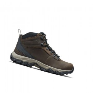 Pánské Pohorky Columbia Newton Ridge Plus II Waterproof Wide Tmavě Hnědé Šedé | HQYW-65123