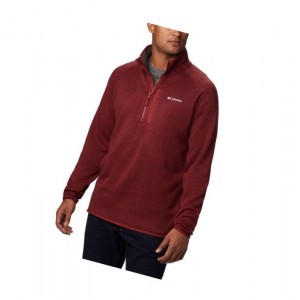 Pánské Pulovr Columbia Canyon Point Half-Zip Fleece Červené | EKJH-83720