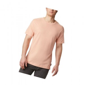 Pánské Tričko Columbia Summer Chill Short Sleeve Světle Koralove | BGDC-57238