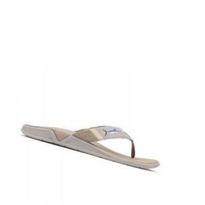 Pánské Žabky Columbia PFG Fish Flip Sandal Hnědožlutý | RUZF-35916