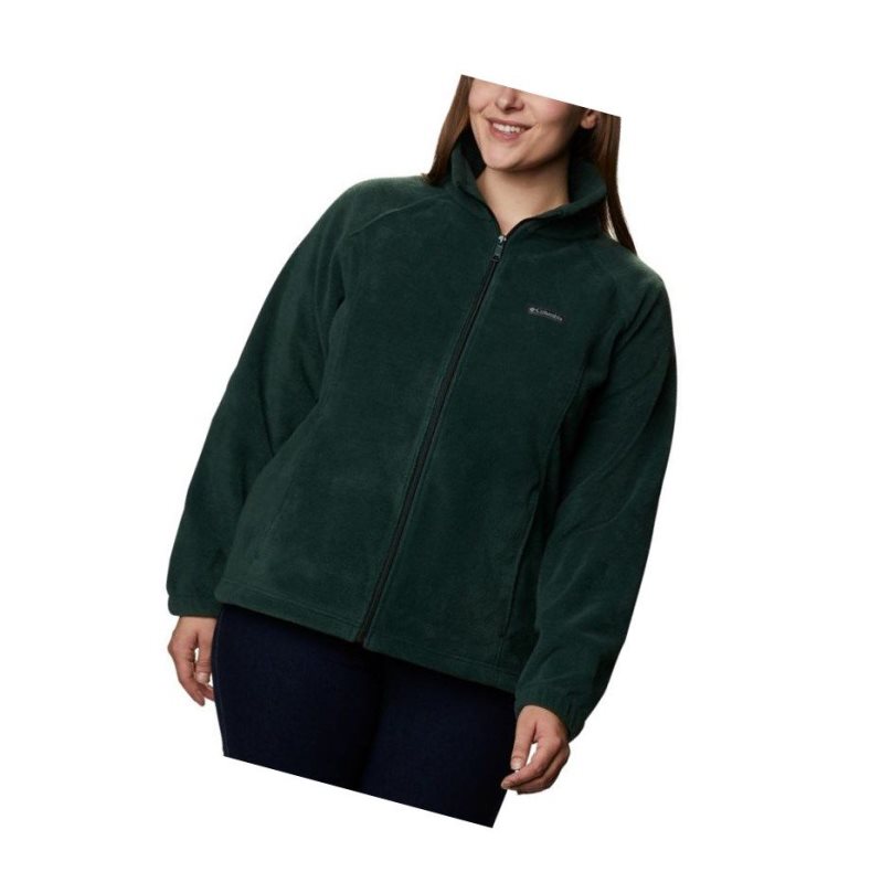 Dámské Bundy Columbia Benton Springs Full Zip Plus Size Zelene | ZVXQ-68230