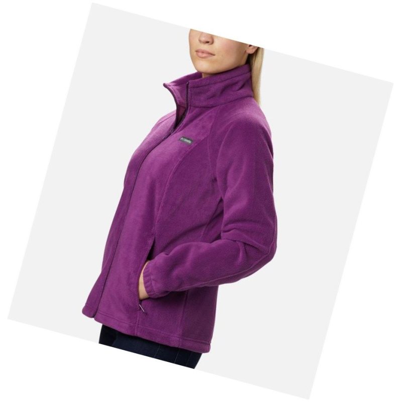 Dámské Bundy Columbia Benton Springs Full Zip Fleece Petite Hnědé | JTLF-30762