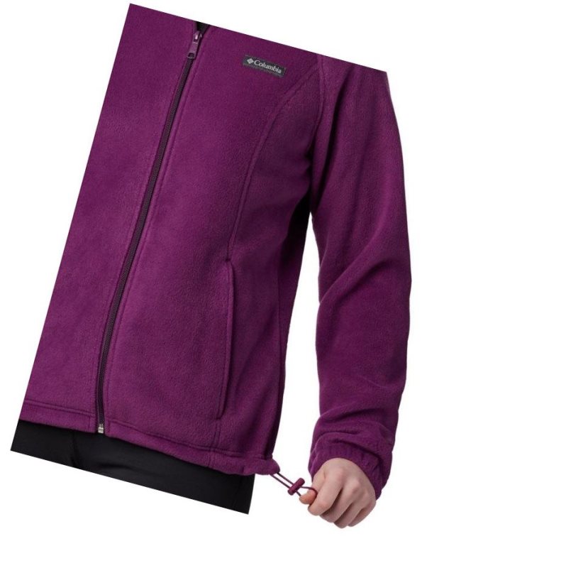 Dámské Bundy Columbia Benton Springs Full Zip Fleece Fialové | IAUL-62851