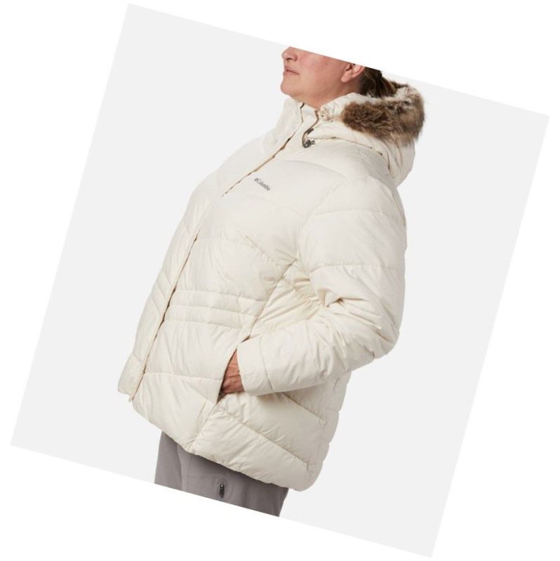 Dámské Bundy Columbia Peak to Park Insulated Plus Size Krém | TCGH-67952