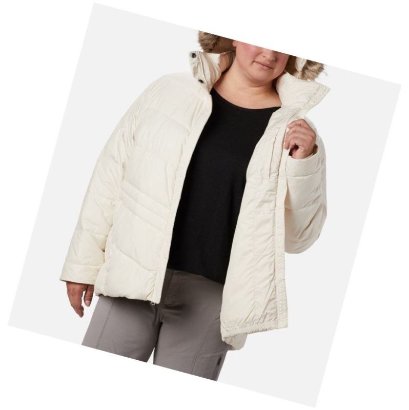 Dámské Bundy Columbia Peak to Park Insulated Plus Size Krém | TCGH-67952