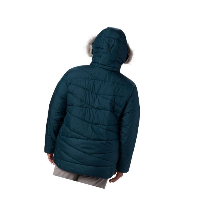 Dámské Bundy Columbia Peak to Park Insulated Plus Size Blankyt | RJCB-10293