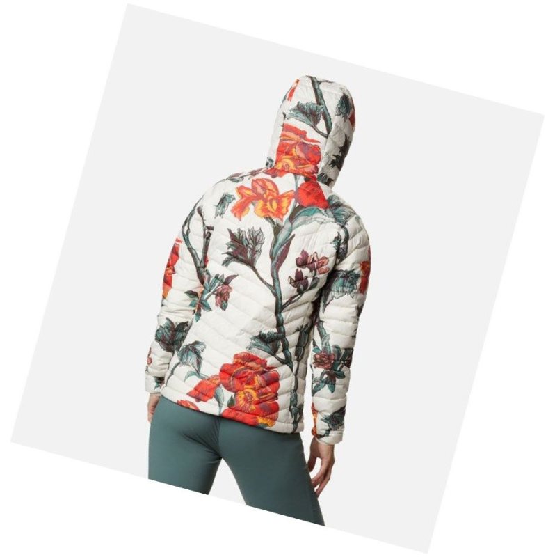 Dámské Bundy Columbia Powder Lite Hooded Hnědé | UEWA-18623