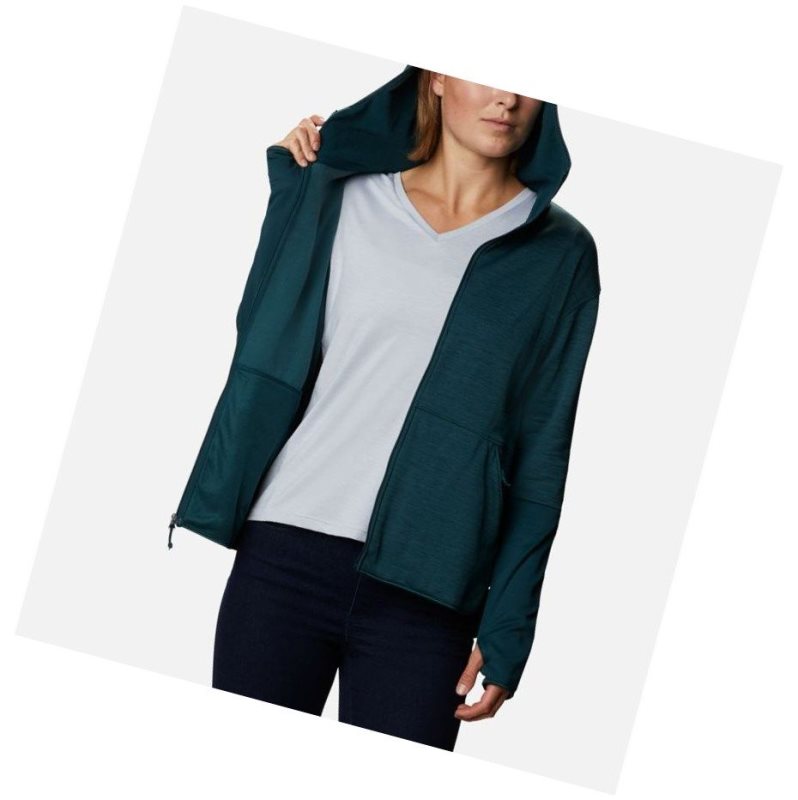 Dámské Bundy Columbia Rosemont Station II Hooded Full Zip Fleece Blankyt | VCIK-12493