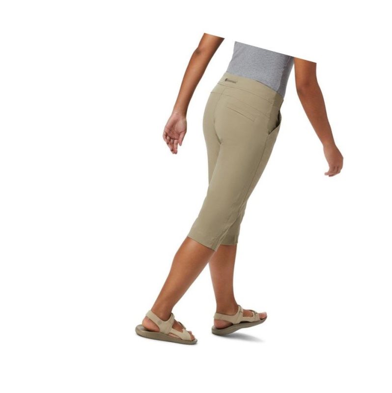 Dámské Kalhoty Columbia Anytime Outdoor Capri Hnědé | QZOE-73562