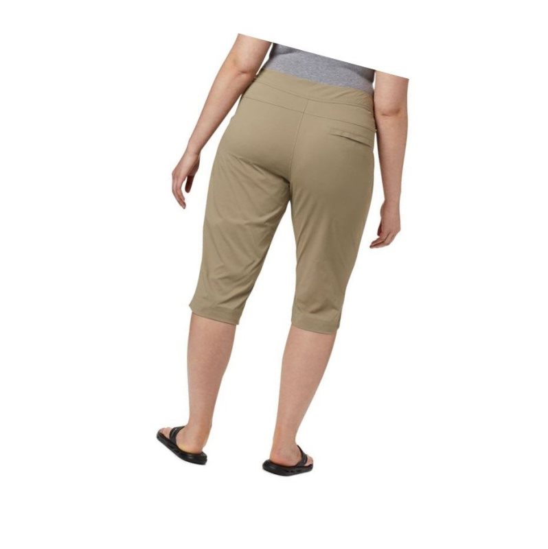 Dámské Kalhoty Columbia Anytime Outdoor Capri Plus Sizes Hnědé | NGEX-90453