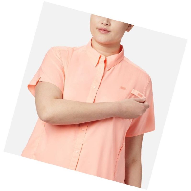 Dámské Košile Columbia PFG Tamiami II Short Sleeve Plus Size Růžové | BSAL-89436