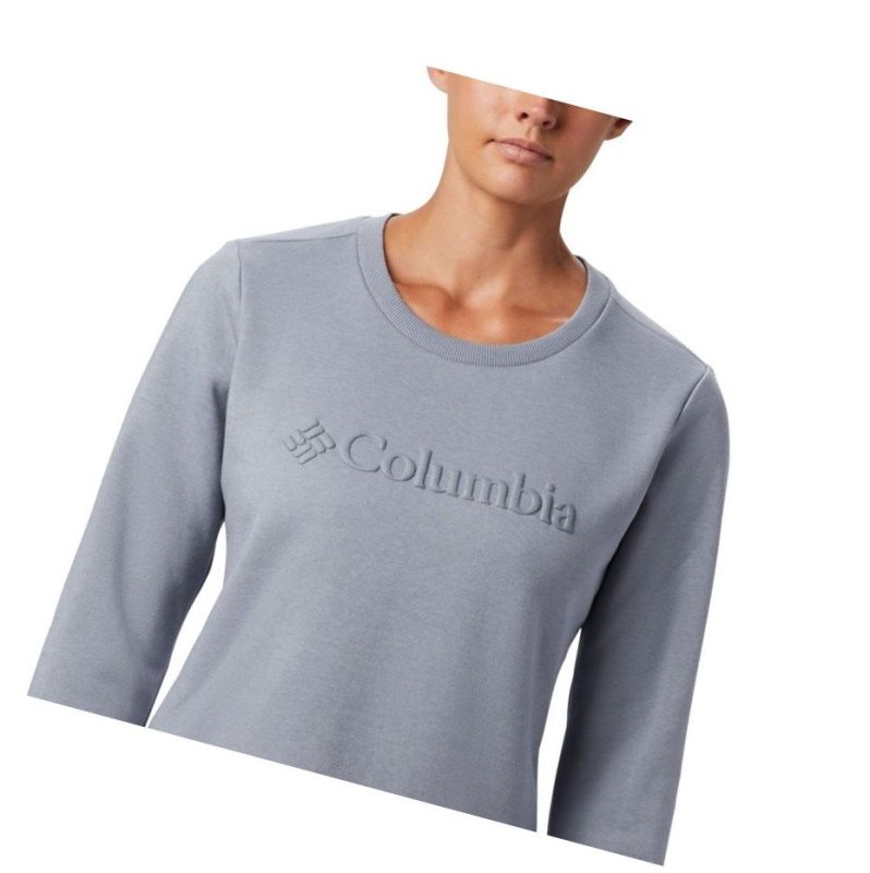 Dámské Mikina Columbia Logo Crew Top Šedé | FUMJ-29164