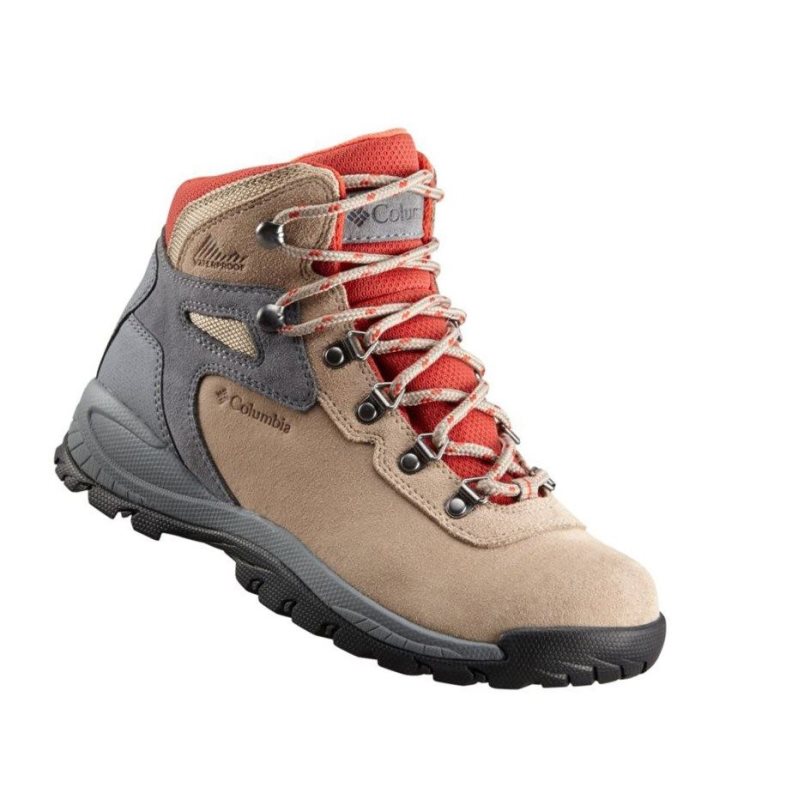 Dámské Pohorky Columbia Newton Ridge Plus Waterproof Amped Hnědé | JYMI-45107