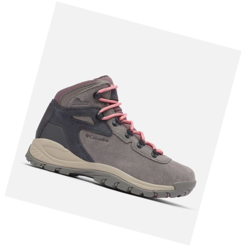 Dámské Pohorky Columbia Newton Ridge Plus Waterproof Amped Růžové | YFLZ-40678