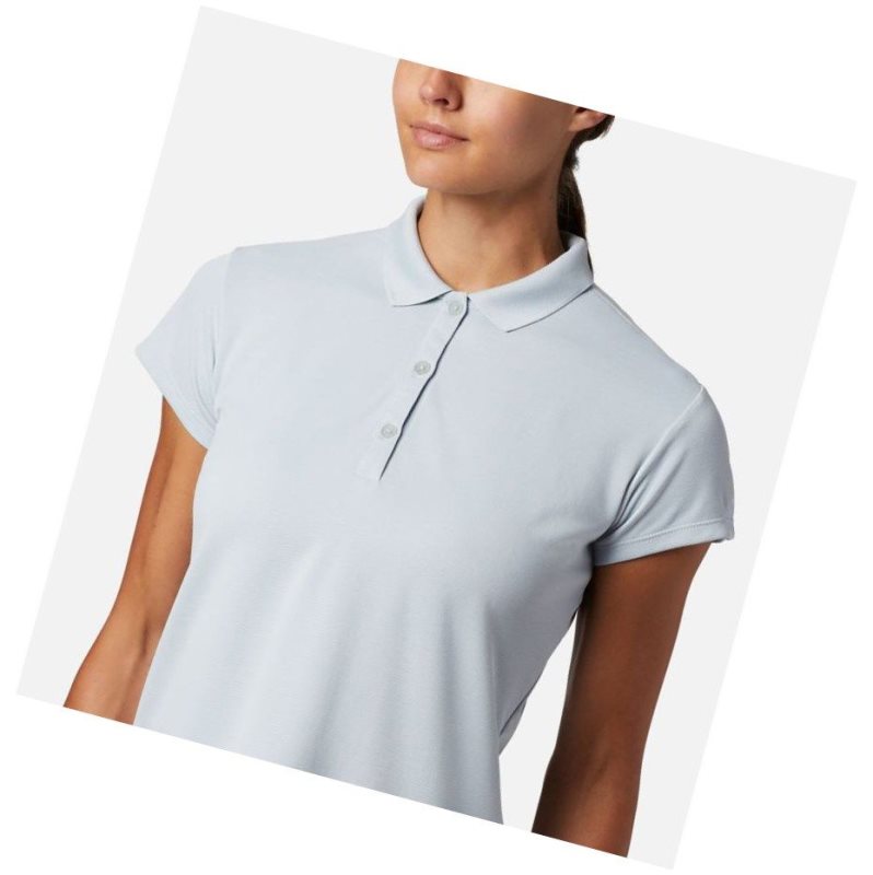 Dámské Polo Triko Columbia PFG Innisfree Short Sleeve Šedé | POZT-53498