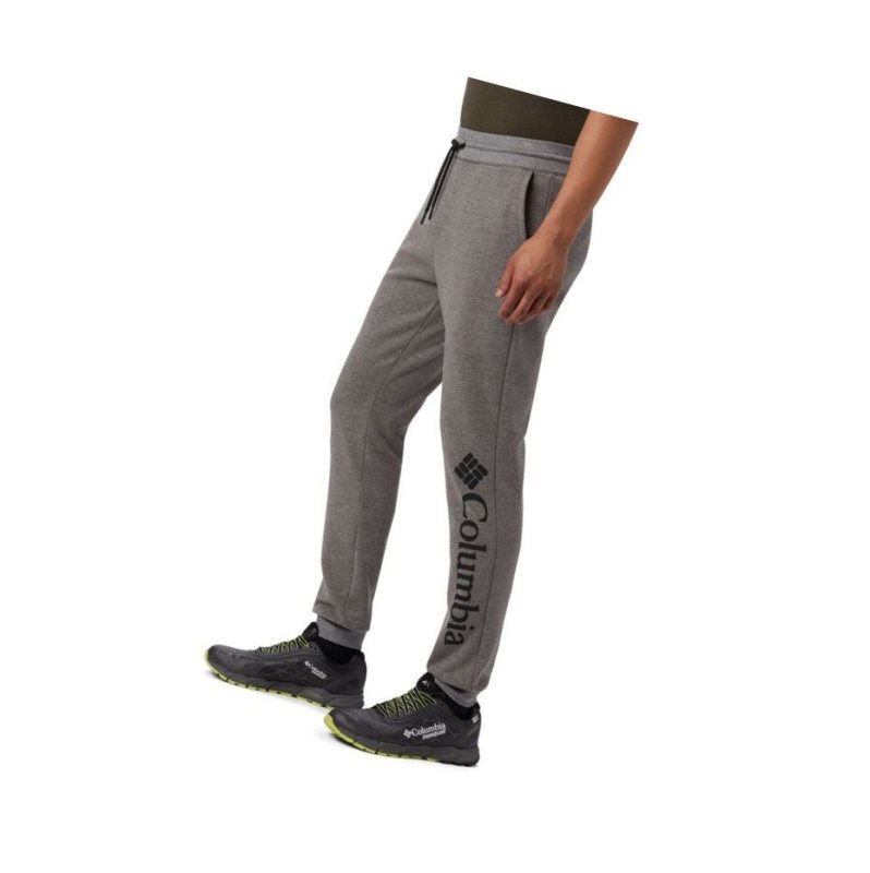 Pánské Kalhoty Columbia Lodge Double Knit Jogger Šedé | NHAP-95216