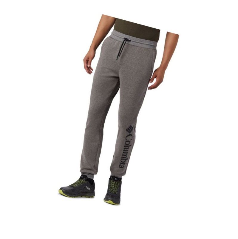 Pánské Kalhoty Columbia Lodge Double Knit Jogger Šedé | NHAP-95216