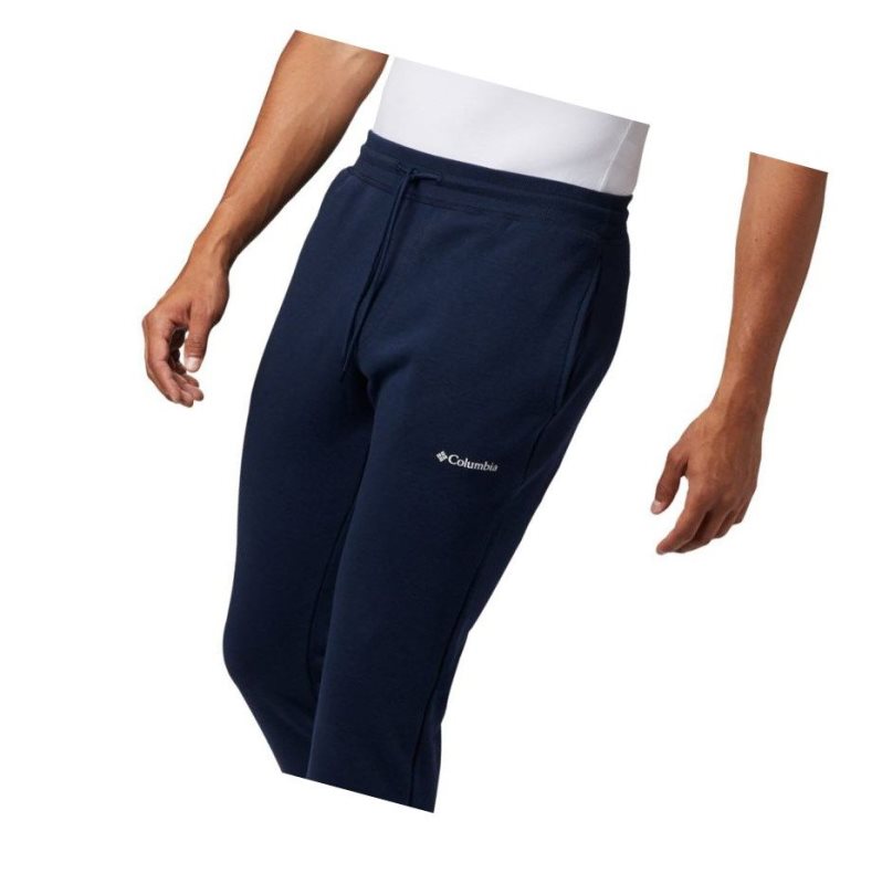 Pánské Kalhoty Columbia Logo Fleece Jogger Tmavě Blankyt | ERQD-58310