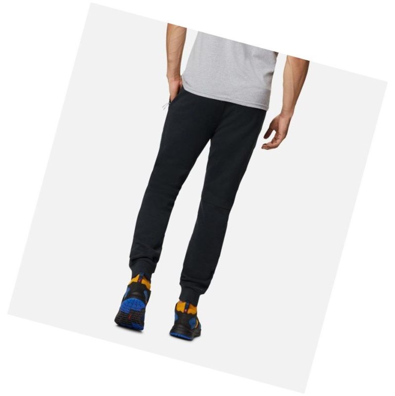 Pánské Kalhoty Columbia Mountain View Omni-Heat Pant Černé | NVEY-50643