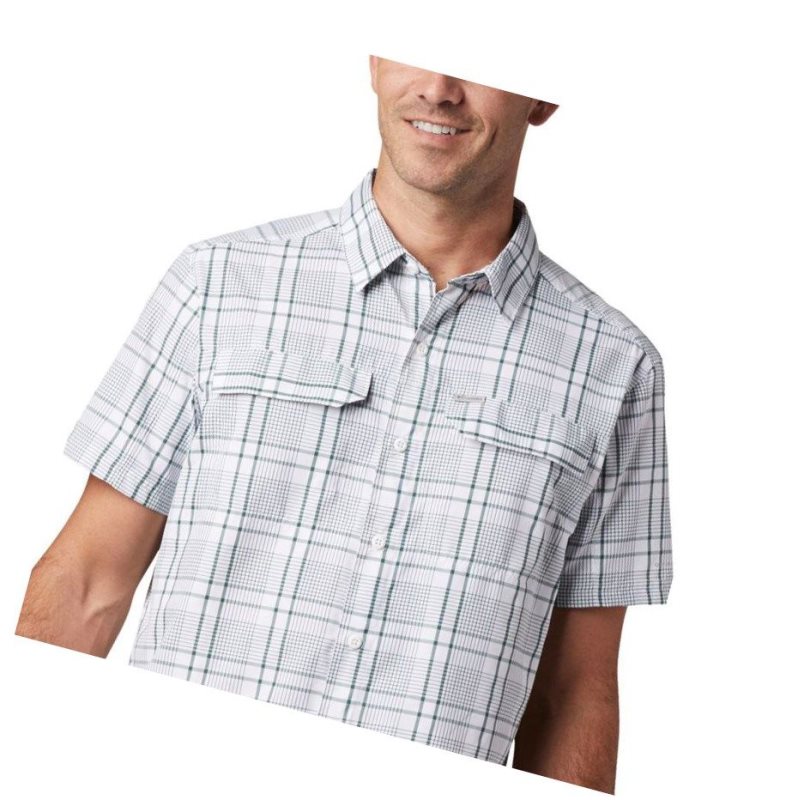 Pánské Košile Columbia Silver Ridge 2.0 Multi Plaid Short Sleeve Zelene | JPEI-17249