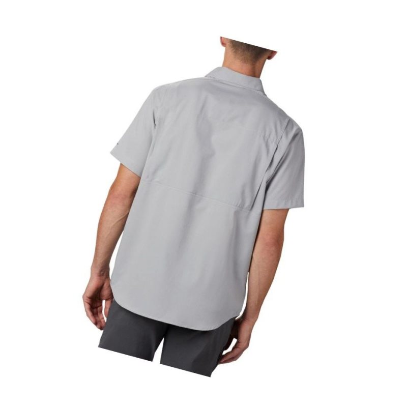 Pánské Košile Columbia Silver Ridge Lite Short Sleeve Šedé | UXTW-67094