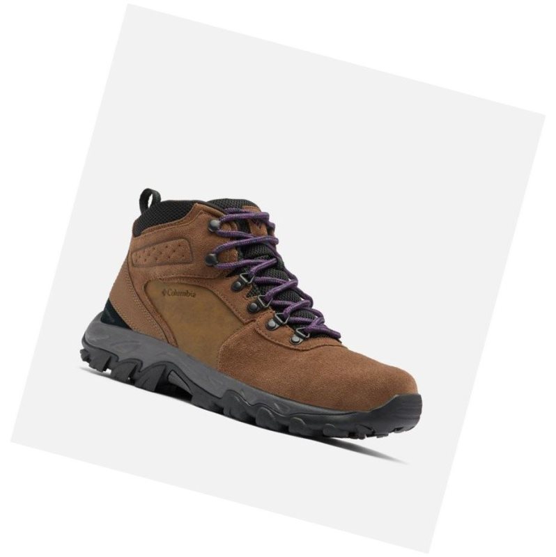 Pánské Pohorky Columbia Newton Ridge Plus II Suede Waterproof Tmavě Hnědé Fialové | JWYC-31740