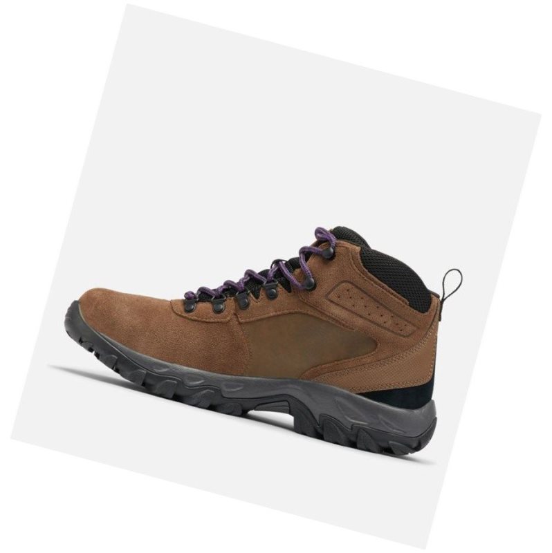 Pánské Pohorky Columbia Newton Ridge Plus II Suede Waterproof Tmavě Hnědé Fialové | JWYC-31740