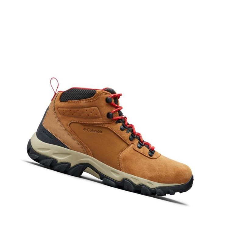 Pánské Pohorky Columbia Newton Ridge Plus II Suede Waterproof Wide Blankyt Červené | YFRB-41027