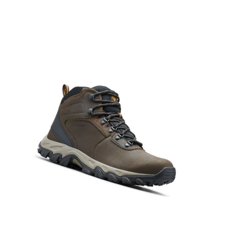 Pánské Pohorky Columbia Newton Ridge Plus II Waterproof Wide Tmavě Hnědé Šedé | HQYW-65123