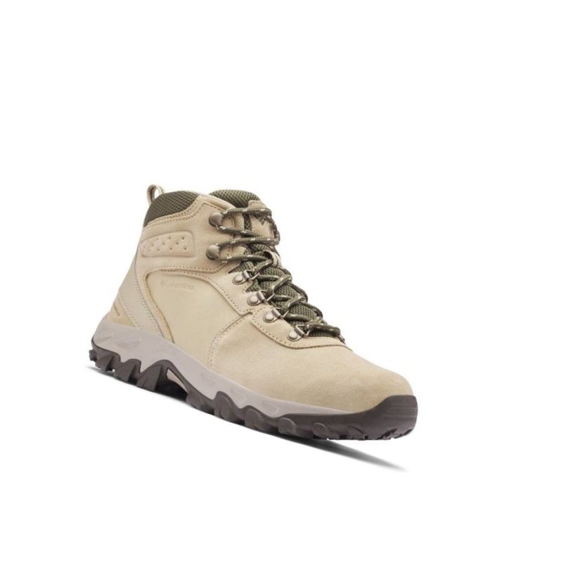 Pánské Pohorky Columbia Newton Ridge Plus II Suede Waterproof Wide Olivy Zelené | CLRQ-56307