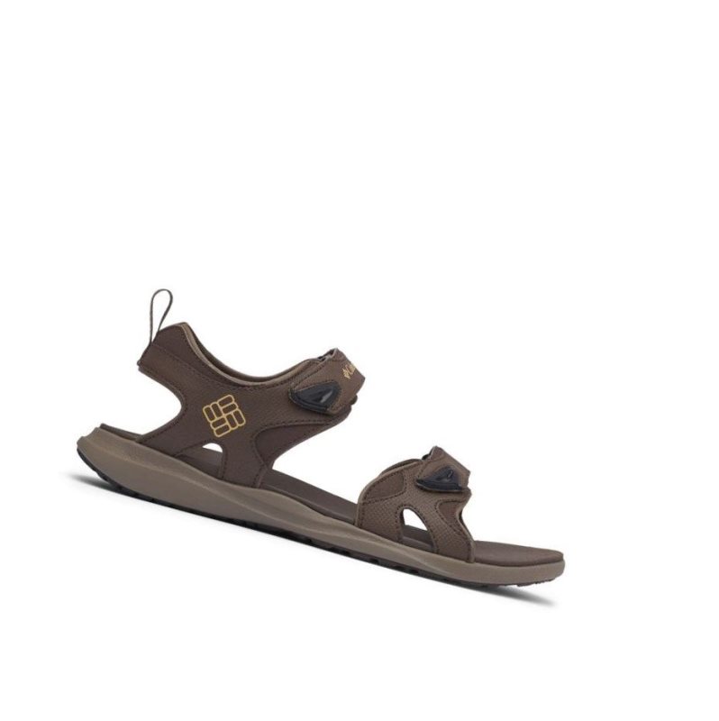 Pánské Sandály Columbia Ankle Strap Tmavě Hnědé | QXYU-84103